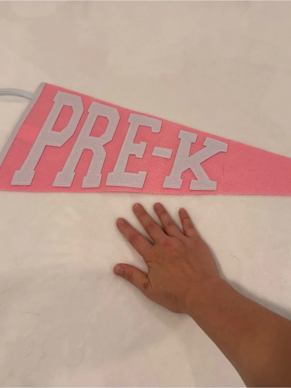 Beaufort bonnet company back to school pennant - pink pre-k
